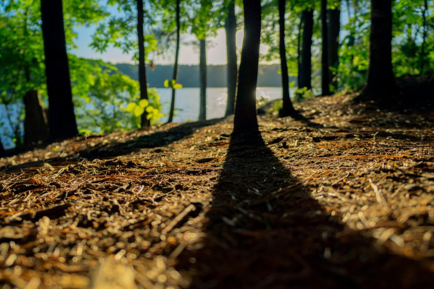 Kennesaw, Georgia